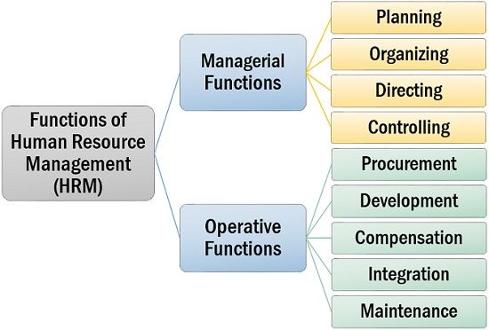 Functions Of Human Resource Management Hrm Notes - Bank2home.com