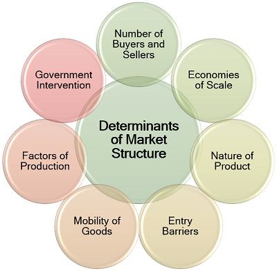 Determinants of Market Structure