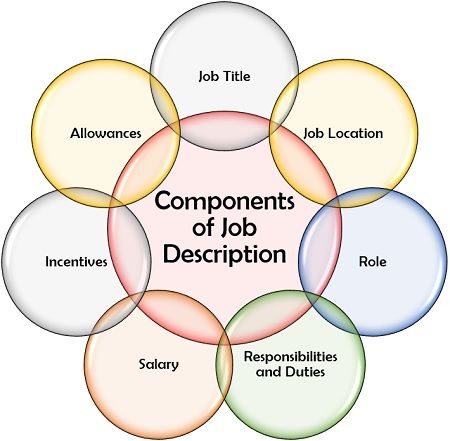 Components Of Job Description 