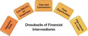 intermediaries drawbacks disadvantages charitable institutions operate