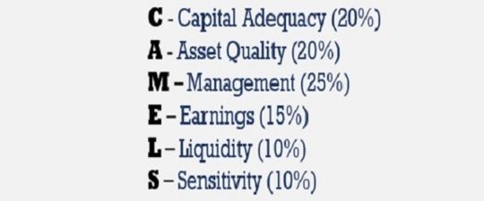 What is CAMELS Rating System? 