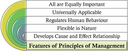Features of Principles of Management