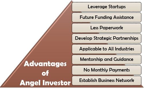 Advantages of Angel Investor