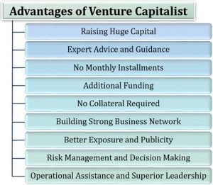 capitalist investor disadvantages theinvestorsbook capitalists investors financing