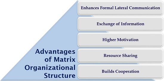 Advantages of Matrix Organizational Structure