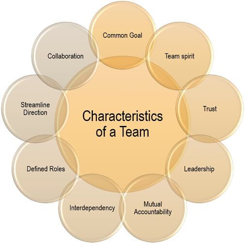 Characteristics of a Team