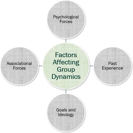 Factors Affecting Group Dynamics