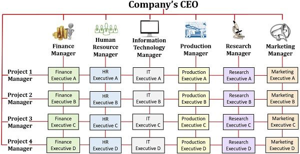 Matrix Organizational Structure Diagram