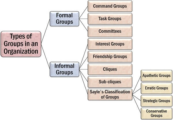 Types of Groups in an Organization