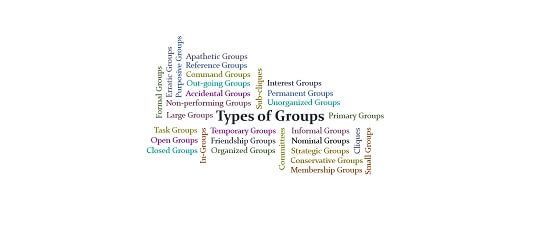 Group: Definition, Functions, Types of Groups