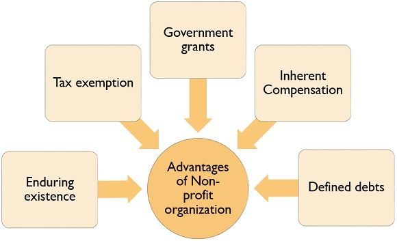 advantages of non-profit organization