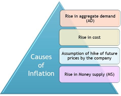 critical thinking 19 causes and effects of inflation