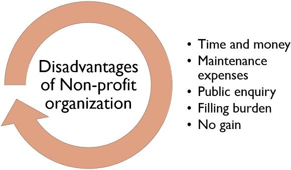 disadvantages of non-profit organization