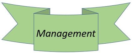 Management Vs Administration - Difference and comparison - The