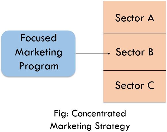 concentrated marketing strategy