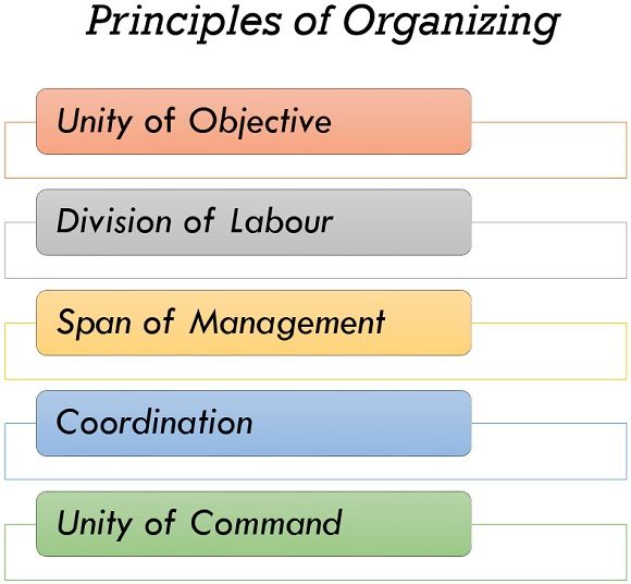 organizing in management essay