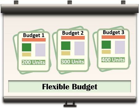 Flexible Budget