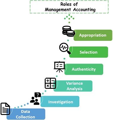 Management Accounting Roles