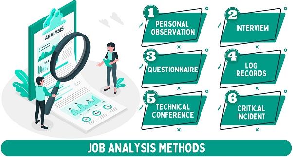 Job Analysis Methods With Examples Job Job Analysis And Job Analyst 