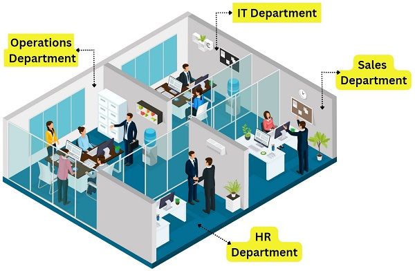 Departmentation