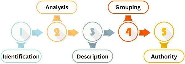 Process of Departmentation