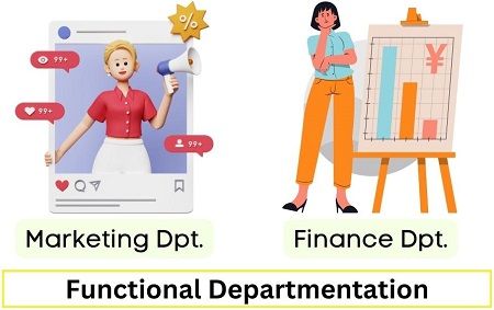 Functional Departmentation